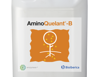 AminoQuelant-B